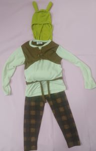 Kids Costumes to Hire - Shrek - CHILD - Headpce, top, pants